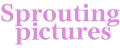 Sprouting Pictures